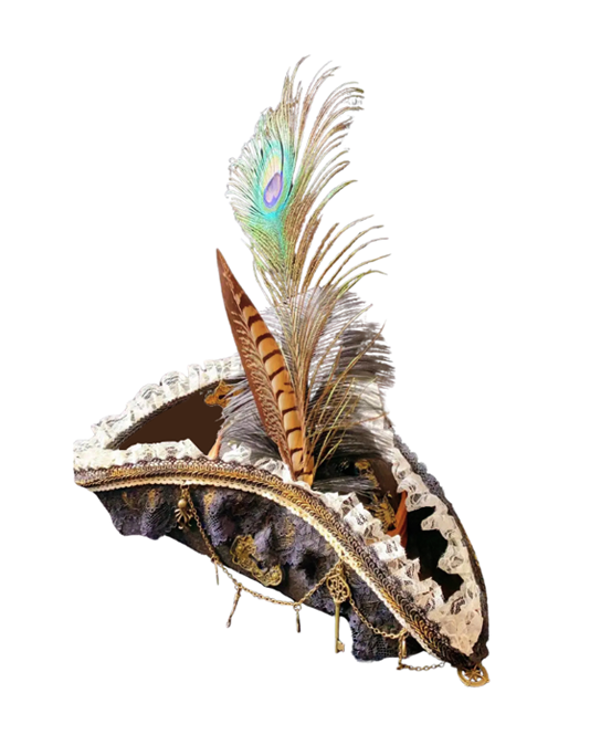 Chapeau de pirate plumes et squelettes